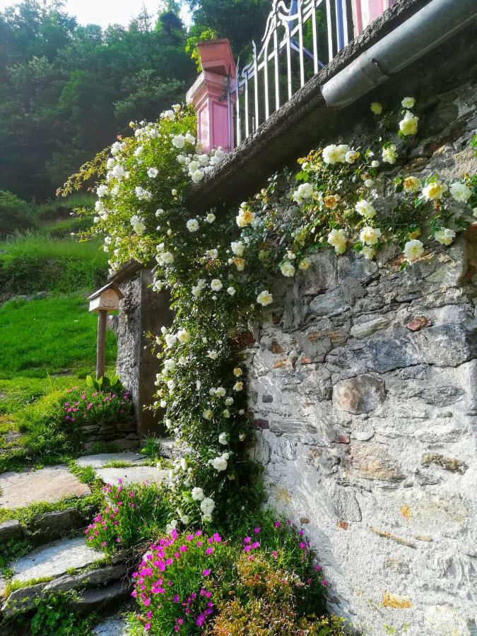 Shanty Calasca-Castiglione Экстерьер фото